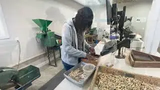 Georgia Federal-State Inspection Service's Important Role within the Peanut Industry
