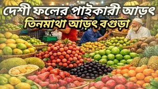 16 January 2026 বগুড়া দেশীয় ফলের আড়ৎ।Bogura Fruit Market Update।Rk Haat Bazar।