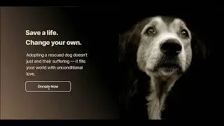 Interactive Website Design - Pawsitively