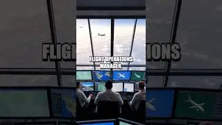 Unique Roles in Aviation Management Globally