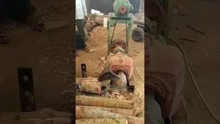 Wood 🪵🪓 Cutting sounds #asmr #sounds #wood #woodworking #nature