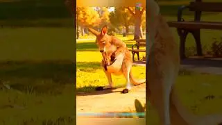 смешное мультяшное видео #shortvideo