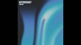 AUTODIDACT - TWELWE