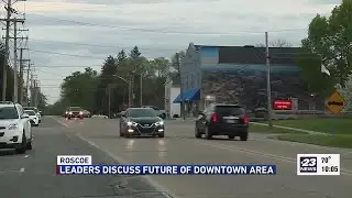 Roscoe defines vision for downtown area