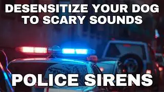 Dog Desensitization Sounds for Dogs & Puppies: Police Sirens