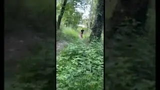 Table top to lip jump.