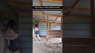 Elle me manque l'&eacute;poque o&ugrave; j'avais un tracteur #equitation #cheval #ethologie
