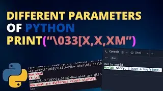 How to use colors in terminal without any module in python || Different parameters of 