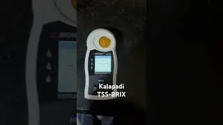 Kalapadi-Highest sweetness TSS-BRIX value in mango