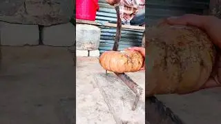watch this satisfying Pumpkin cutting #grampuri #shotrs #pumpkin