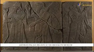 Assyrian Palace Reliefs at the Brooklyn Museum