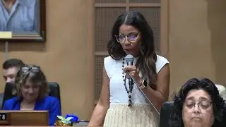 Arizona Sen. Analise Ortiz under fire for ICE location posts