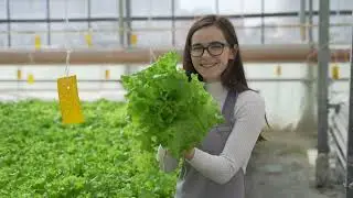 Lettuce Rolex ad