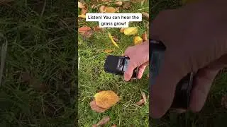 Listen! You can hear the grass grow!  #producermemes #producer #musicproducer #meme #memes