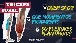 ABSOLUTAMENTE TUDO SOBRE O TRÍCEPS SURAL