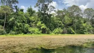 Splendid nature in Siem Reap, Cambodia 🇰🇭