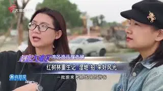 【城事特搜】“食物银行”柜机增加到22个 累计节约食物195吨|深圳皇岗口岸货运功能“谢幕”|上海崇明东滩迎候鸟越冬季|20251227完整版 #粤语 #news