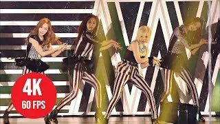 [ 4K LIVE ] Girls' Generation - Animal - (~Girls & Peace~ 2nd Tour Japan)