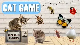 GAME FOR CATS - Catching Butterfly! Cat Games Video For Cats To Watch