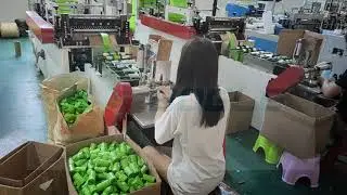 Dog Poop Bags Making Machine (Manual Change Core)