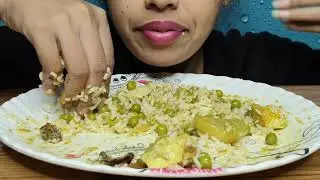 DESI STYLE ll🤤😋💯 MASALA MATAR PANEER WITH RICE ll EATING CHALLENGE ll FOOD CHALLENGE ll MUKBANG ll 