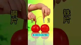 15 Mind-Blowing Science Experiments You Can Do at Home ⚡ #ScienceExperiments #LifeHacks #JustHackif