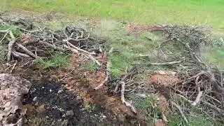 Prospecci&oacute;n de una zona desforestada