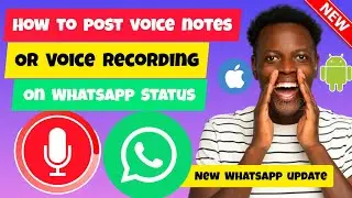 How To Post Voice Notes On WhatsApp Status | Post Voice Recording on WhatsApp Status