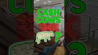 Spending $34K at Auction in 15 seconds.