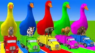 5 Giant Duck #Gorilla, #lion #Cartoon,#Cow,#Elephant,#Giraffe,#Tiger #3danimation#animalsanimation