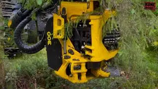 Nilakka Forest ja Moipu 300 F1