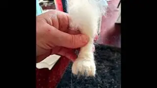How to add clay claws to needle felted paws