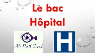 Le bac h&ocirc;pital - Mr Recif Captif #85