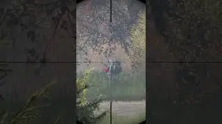 He was waiting to ambush us #dayz | #shorts