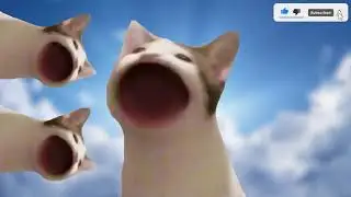 Damemer's cat but reversed