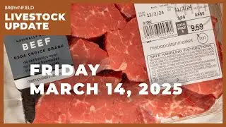 Beef retail price continues to rise | Weekly Livestock Market Update