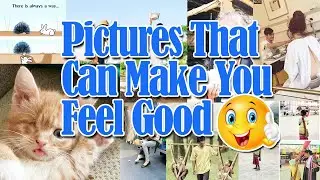 Most Wonderful Pictures That Can Make You Feel Good