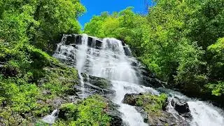 Amicalola Falls: Exploring Georgia's Tallest Waterfall in 4K