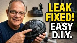 Pool Filter Housing Lid Leak. Simple Repair.