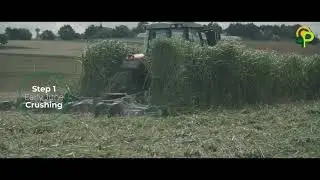 Perennial energy crops : destruction of miscanthus plots - ARVALIS-infos.fr