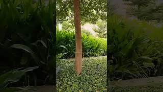 Manyatha Tech Park Bangalore