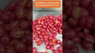 High-Speed Strawberry Half Cutting Machine for Food Factories 🍓