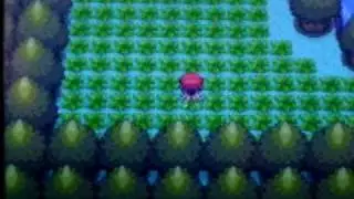 Shiny Solrock