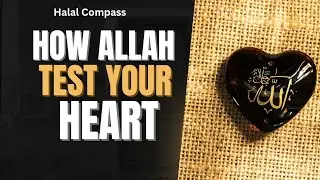 How Allah Tests Your Heart and How You Should Respond #halal #islam #allah