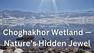 Choghakhor Wetland: A Living Paradise of Nature, Birds & Peace in Iran