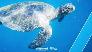 TOUR 360 in the Galapagos Islands