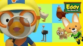 Learn numbers, colors and words l Eddy the Clever Fox Compilation #2 l Pororo the Little Penguin