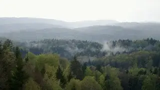 Zgodbe iz naših gozdov: Kočevski rog