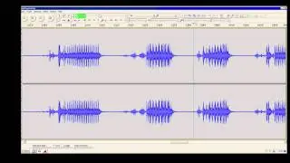 The unique and exquisite variation in the Nightingales Song