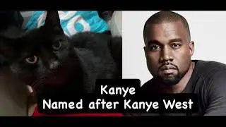 Because people always ask me about the cats and their names 😂👀🐱🐱. 